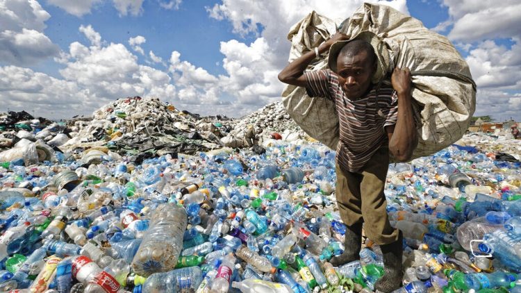 Un cours en ligne sur les stratégies de lutte contre la pollution plastique en Afrique
