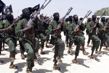 5 shebab tués dans une frappe américaine