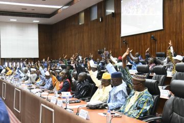 CNT : la loi spéciale relative au référendum constitutionnel adoptée à l'unanimité 