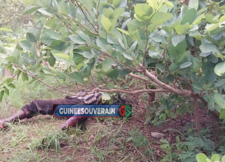 Siguiri : Le corps d’un homme en état de décomposition découvert à Diassakono