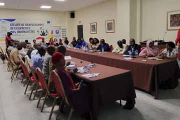 Conakry: des journalistes finissent une formation sur l'IA