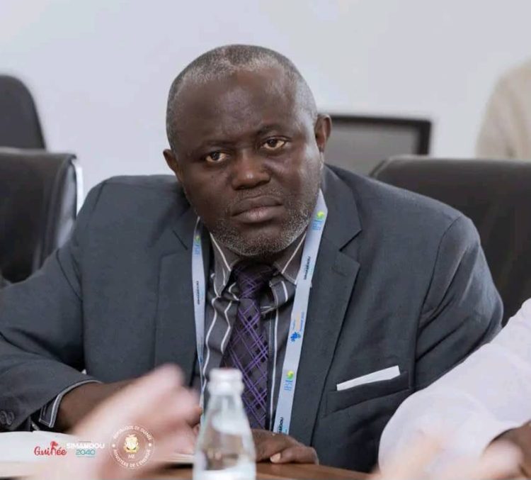 L’énergie : le futur pilier économique de la Guinée