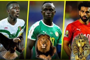 découvrez les surnoms des équipes africaines