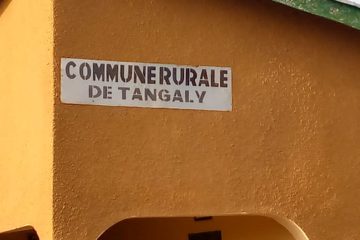 Tougué, un voleur de bétail arrêté à Tangaly