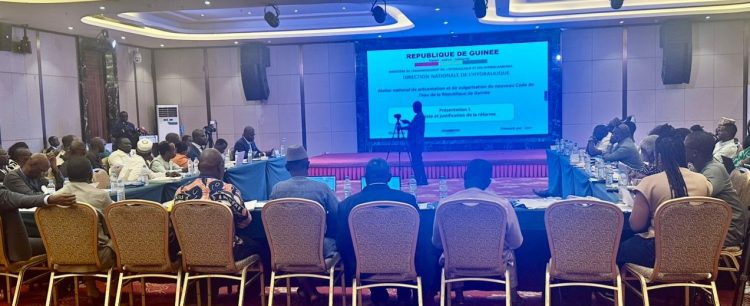 Un code de l'eau voit jour en Guinée