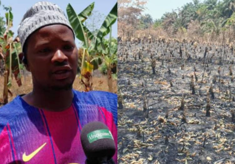Aboubacar Camara victime de l'incendie de sa plantation à Kindia