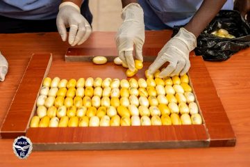 De la drogue saisie sur deux individus