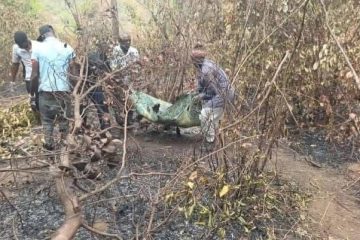 Incendie, mort guérisseuse