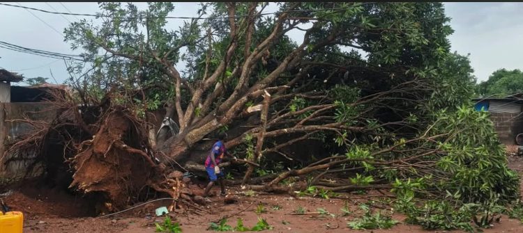 Boké frappé par une tornade
