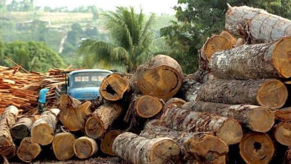 Guinée: repos biologique forestier 2026