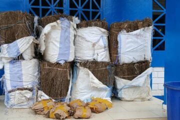 Saisie de drogue à Kindia