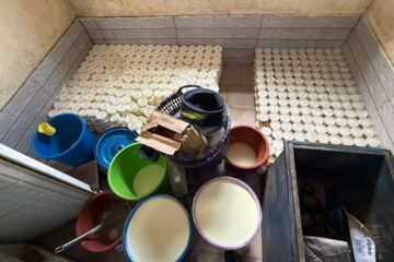 démantèlement du lait impropre à Conakry