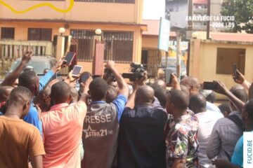 Liberté de la presse en Guinée : analyse de Alseny Sall