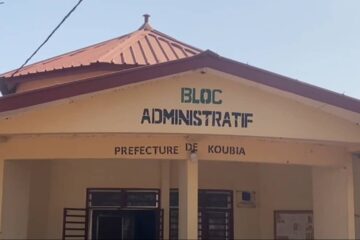 Koubia: deux jeunes arrêtés pour vol de bétail