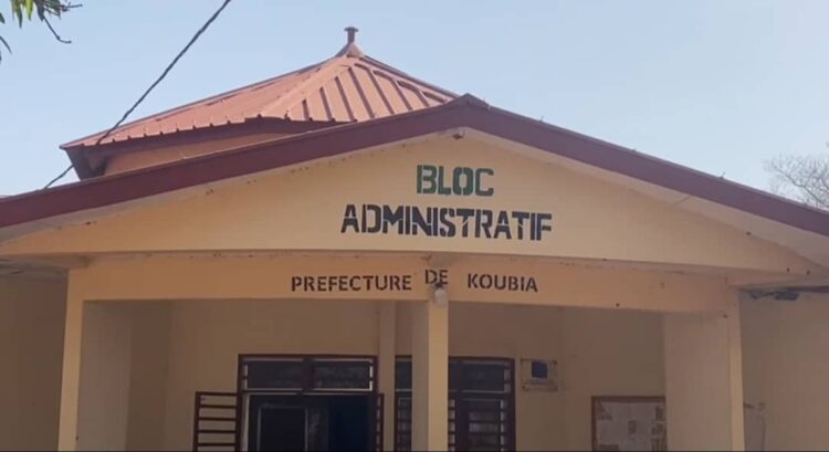 Koubia: deux jeunes arrêtés pour vol de bétail